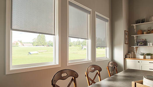 Roller & Solar Shades